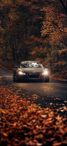 Audi Car Wallpaper