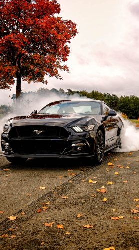 Ford Mustang Wallpaper