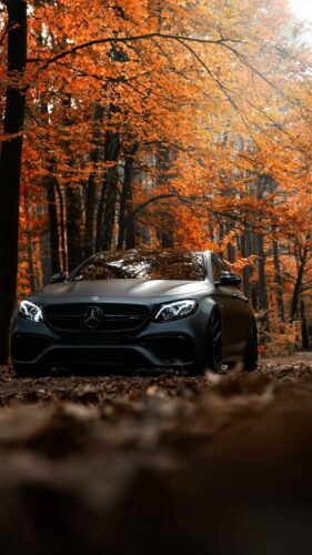Amazing Cars