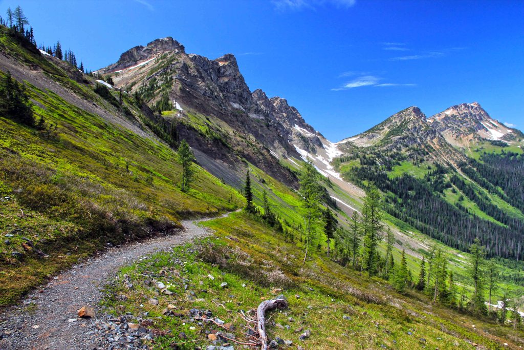 96% of Mountain Bikers Think Wilderness Should Be Opened to Bikes