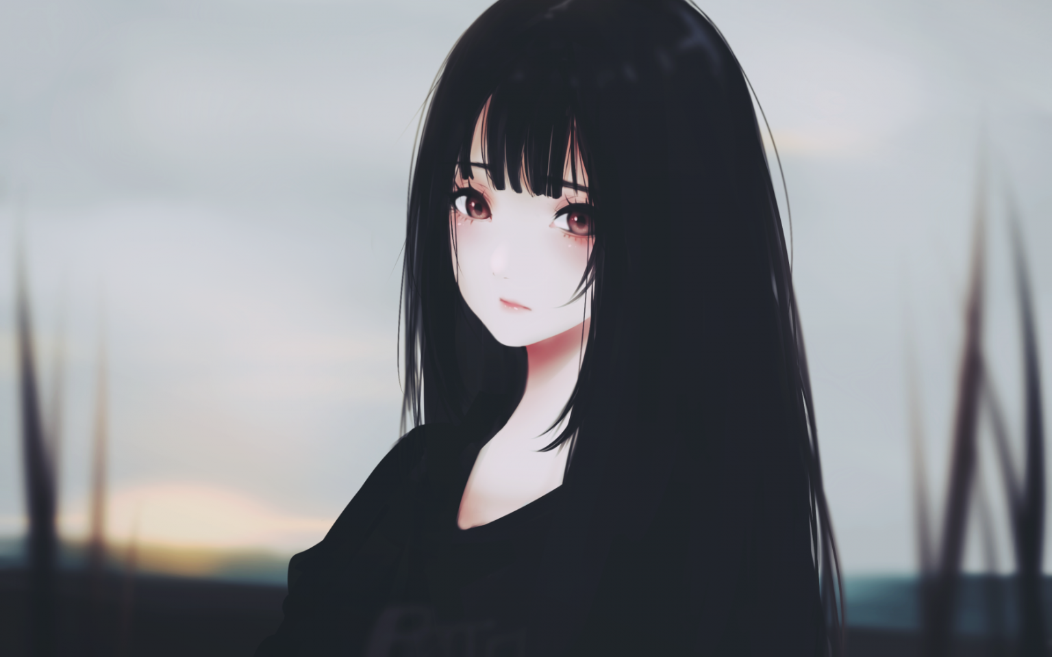 Aesthetic Anime Girl With Black Hair Maxipx