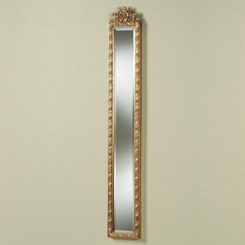 The 20 Best Collection of Long Narrow Wall Mirrors