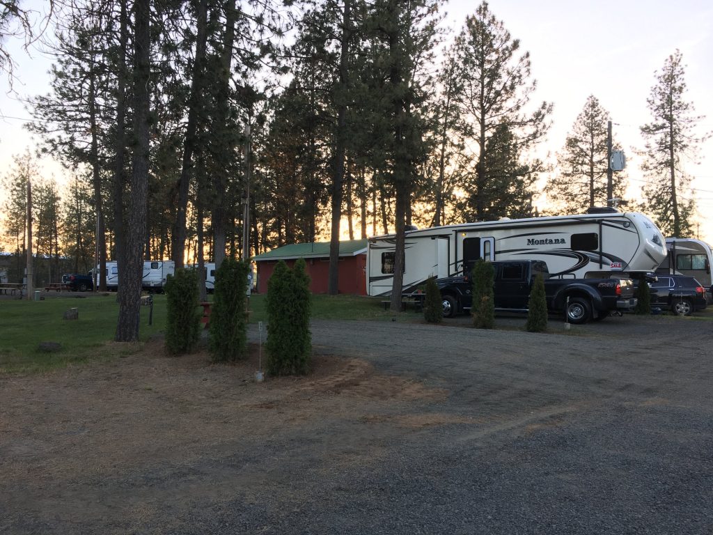 Peaceful Pines RV Park & Campground | The Dyrt