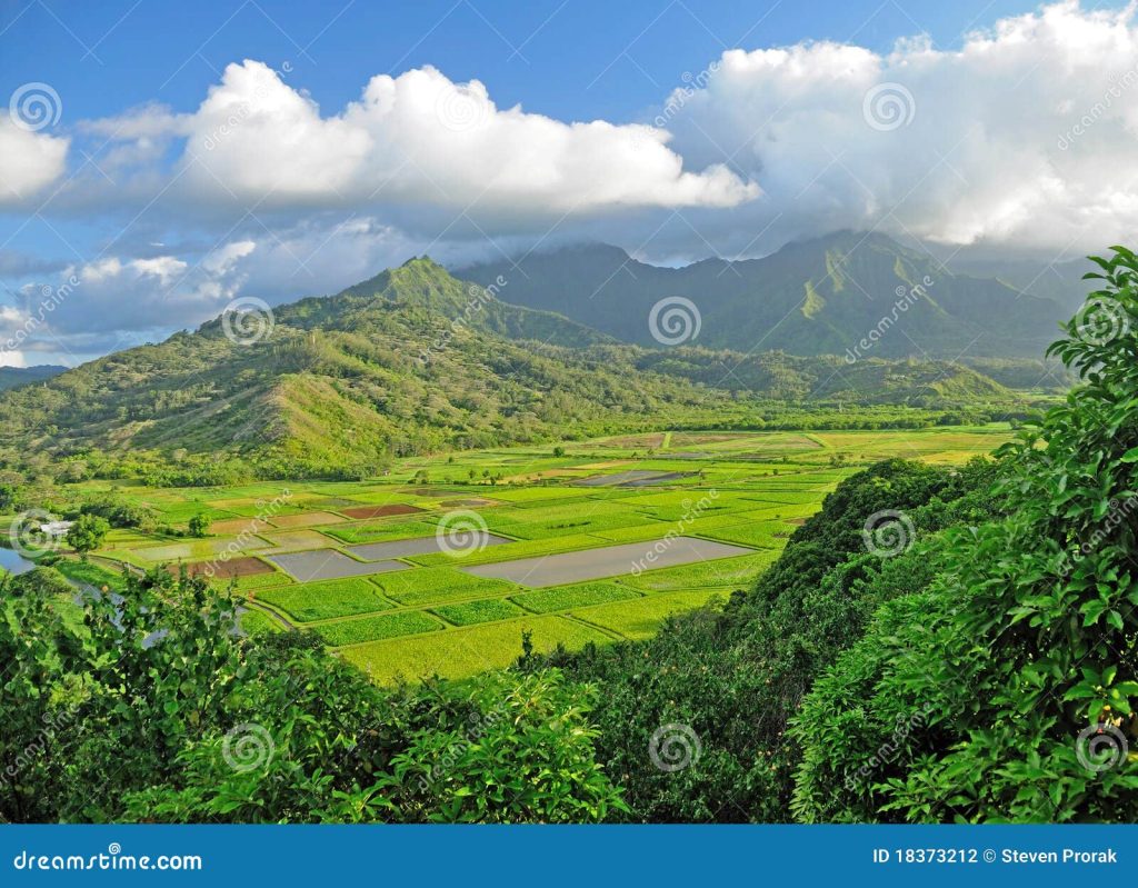 Peaceful mountain valley stock photo. Image of taro, green - 18373212