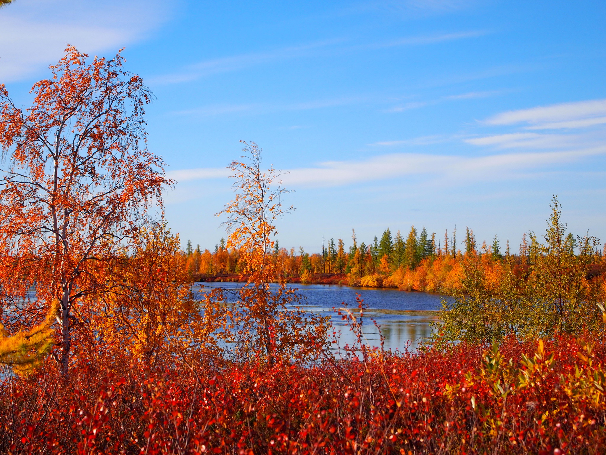 Scenery Russia Autumn Nature wallpaper | 2048x1536 | 175145 | WallpaperUP