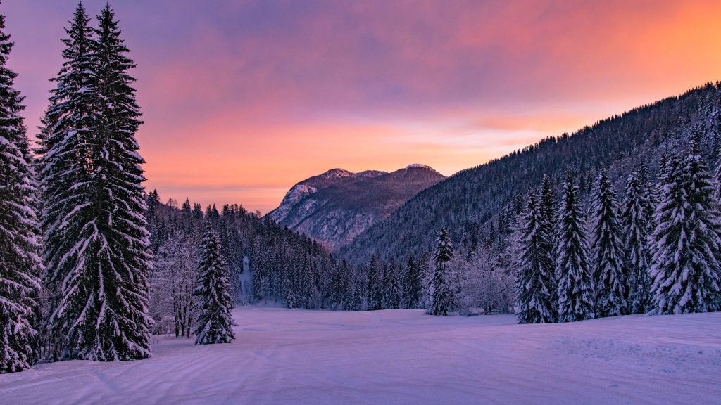 Snow landscape 4k Ultra HD Wallpaper | Background Image | 3840x2160
