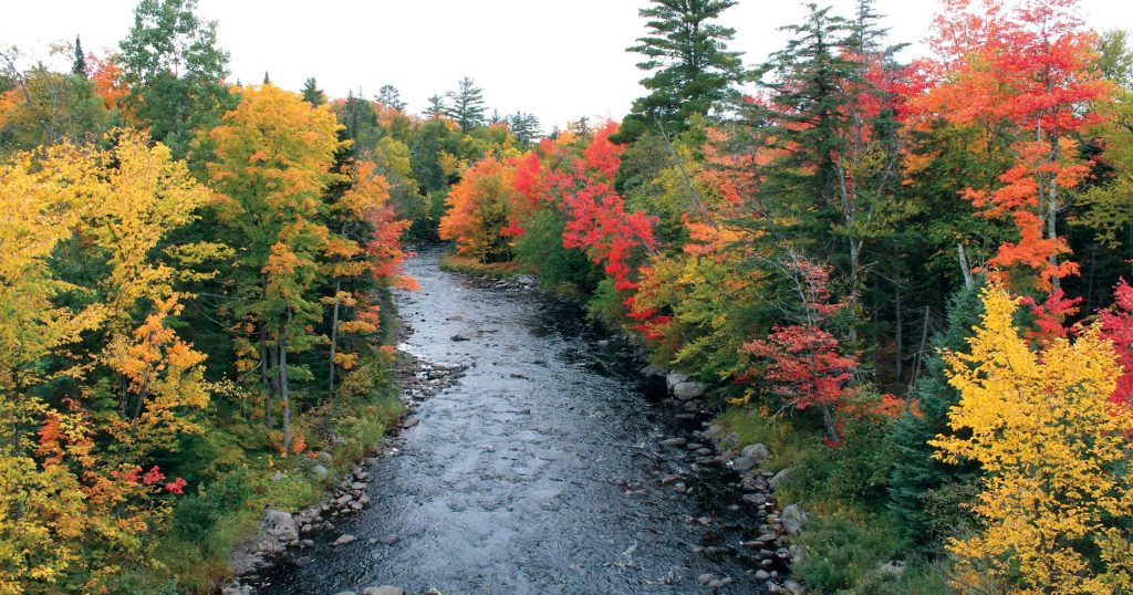 Week by week: When Michigan's fall colors will peak in 2018