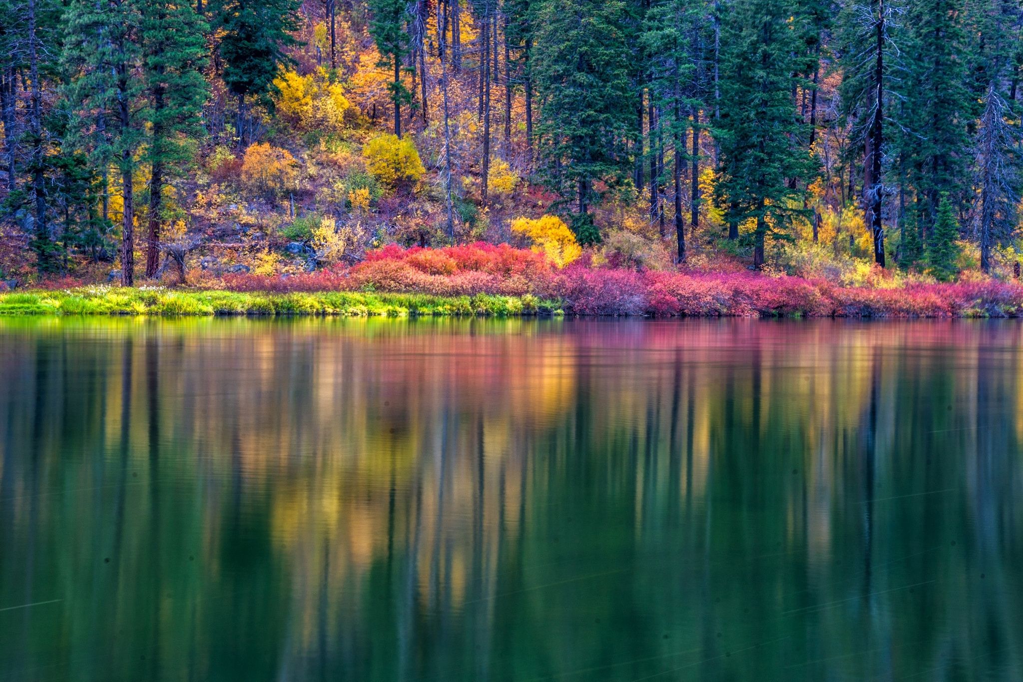 Autumn reflection