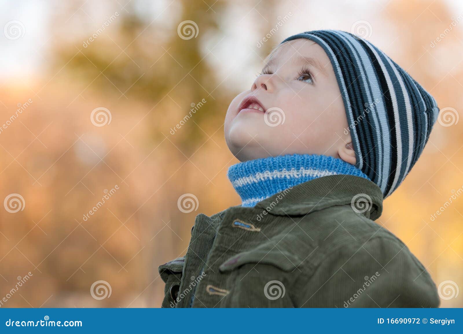 Discovering Autumn Trees in the Park Stock Photo - Image of park