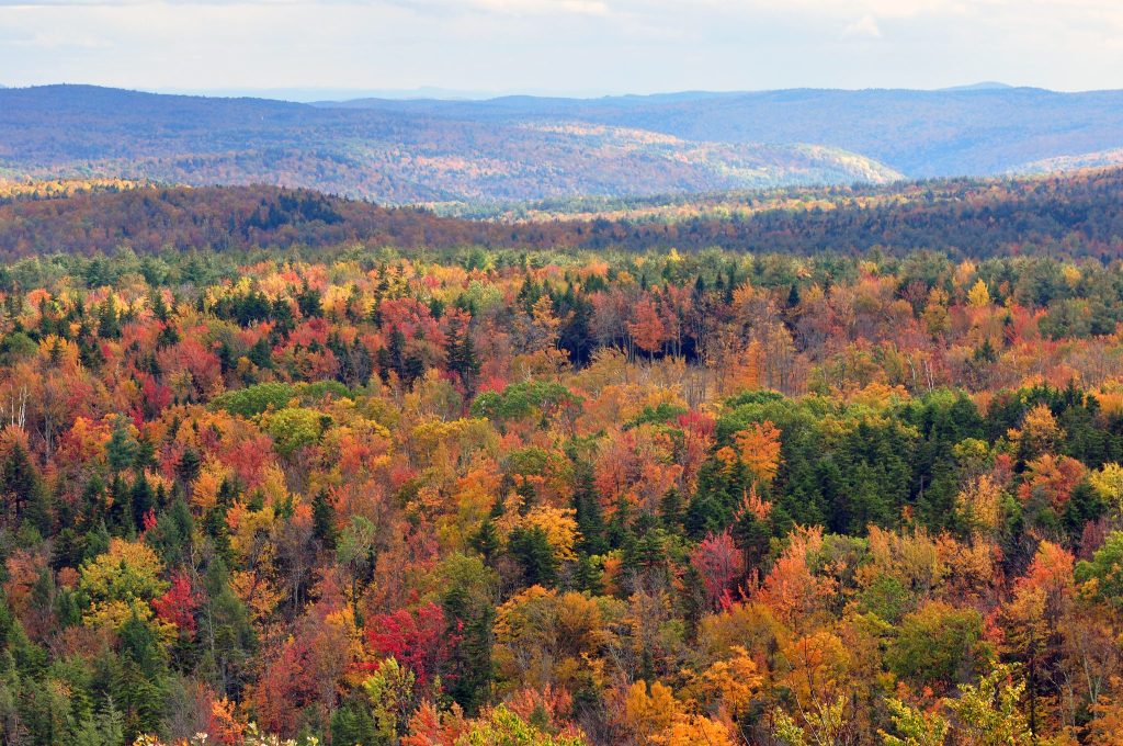 Seasonal Experiences Set to Wow Connecticut Visitors This Autumn | The