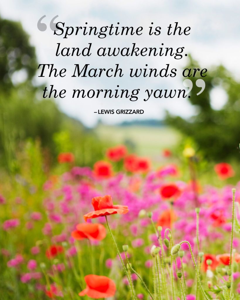 The Sweetest Spring Quotes to Welcome the Season of Renewal | Spring