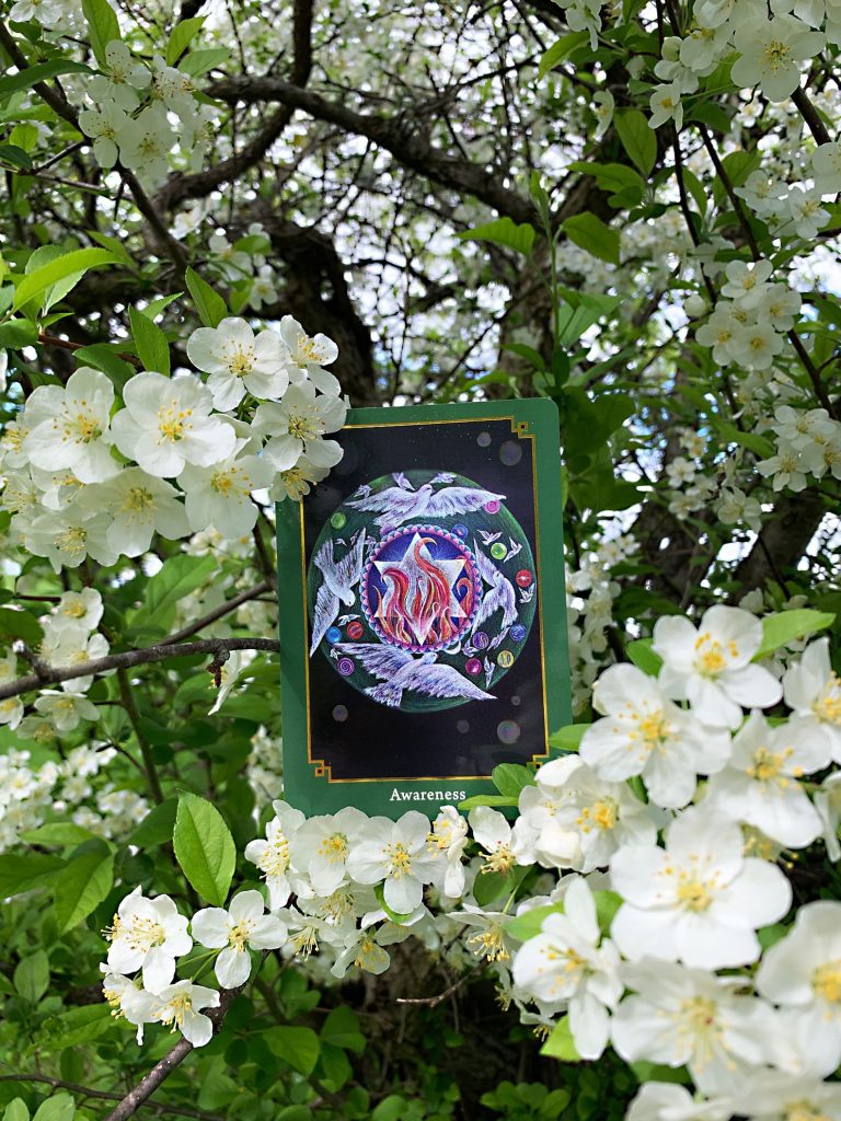 Springtime is Beautiful | Soul cards, Spring time, Spiritual growth