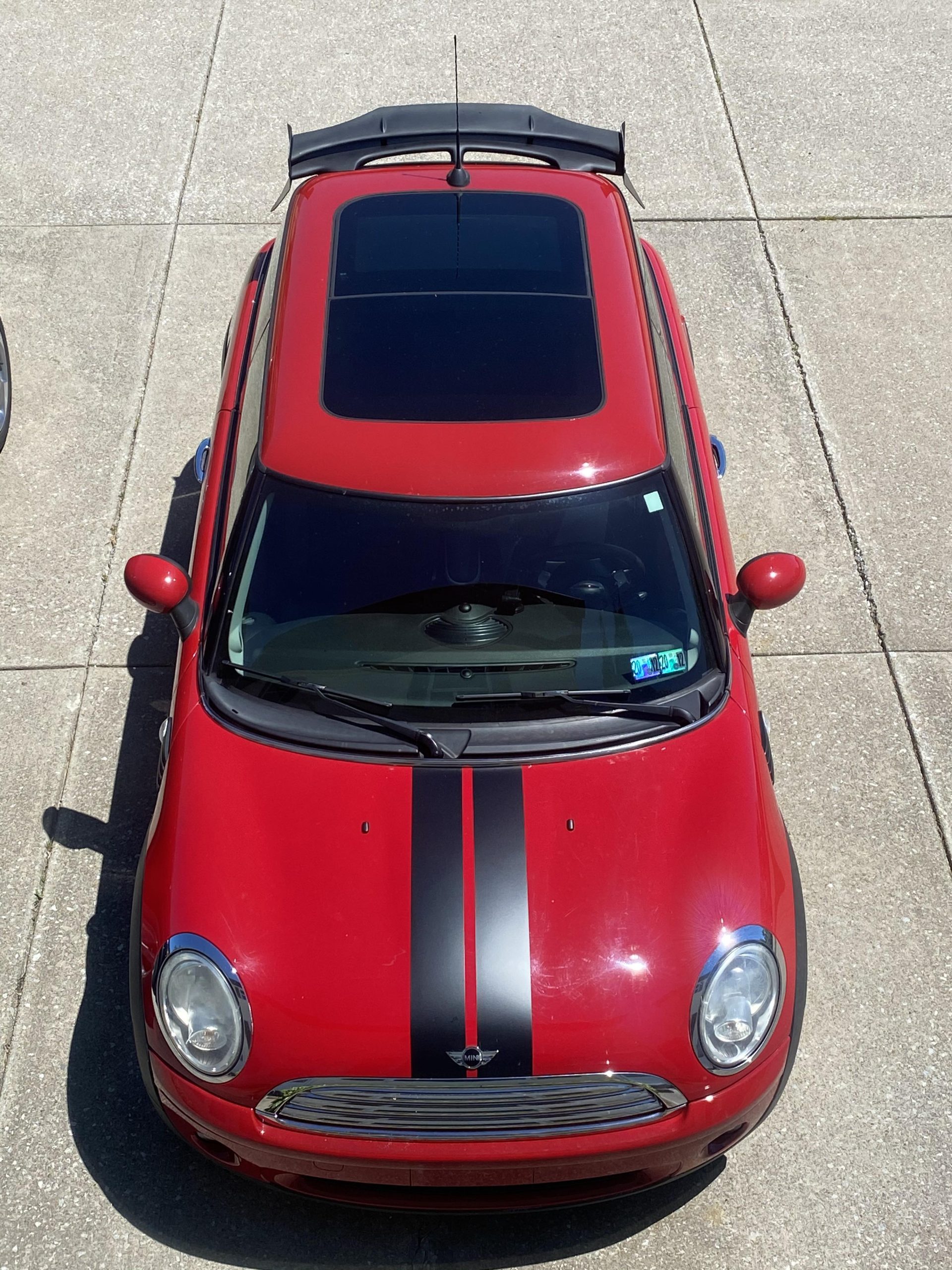 Basking in the sunlight : MINI