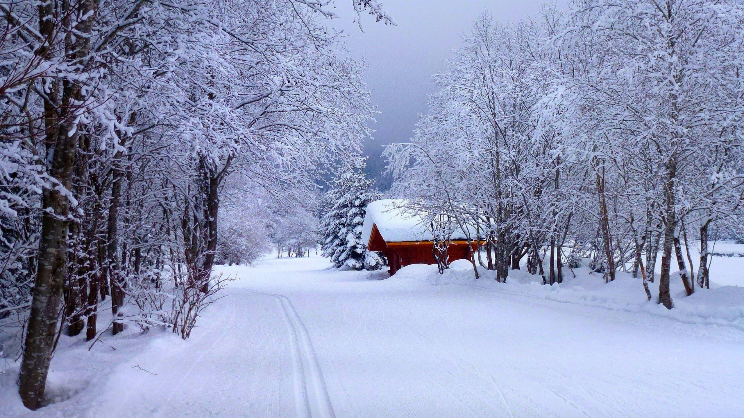 House on Snow-Covered Street Image - ID: 251213 - Image Abyss