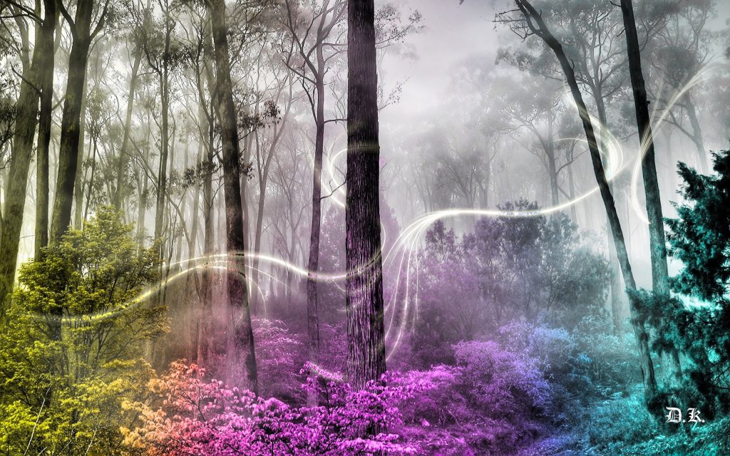 Artwork fantasy magical art forest tree landscape nature magic