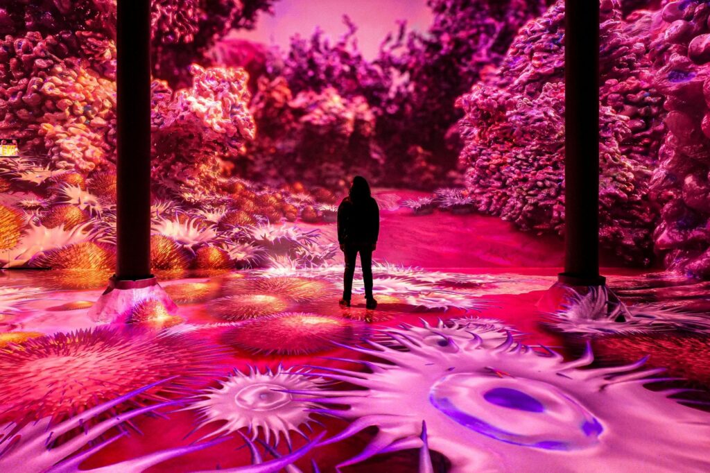 ARTECHOUSE and Pantone invite you to step into MAGENTAVERSE and explore