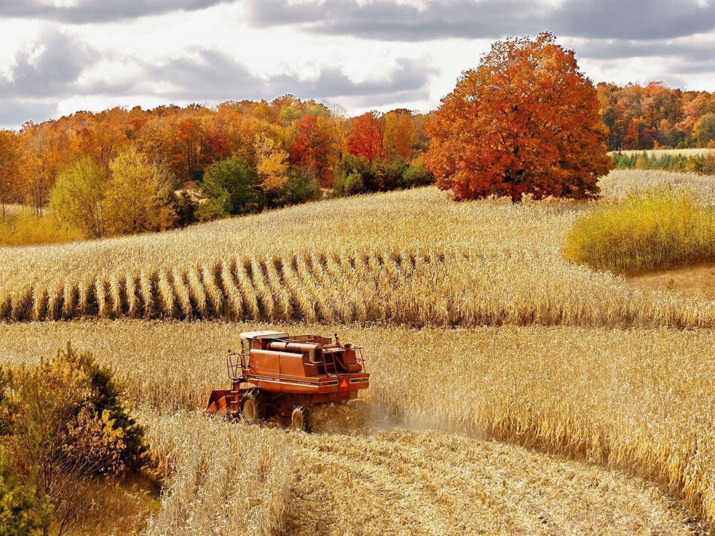 Fall Harvest Wallpapers - Wallpaper Cave
