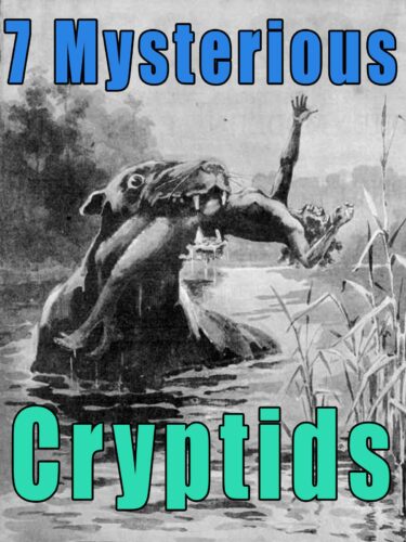 Watch 7 Mysterious Cryptids | Prime Video