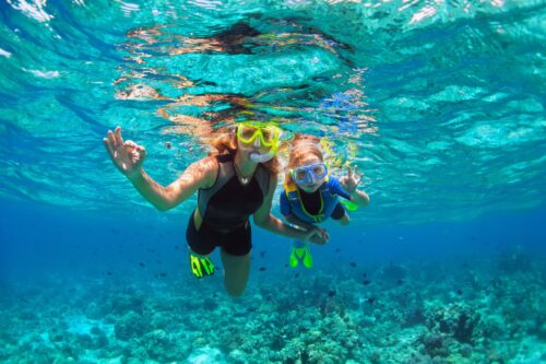 Topic - Exploring Underwater - Chalkboard Publishing