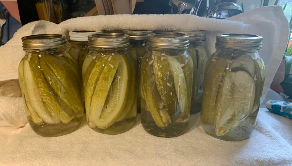 Canned pickles yesterday using cucumbers from our garden. (My grandma’s