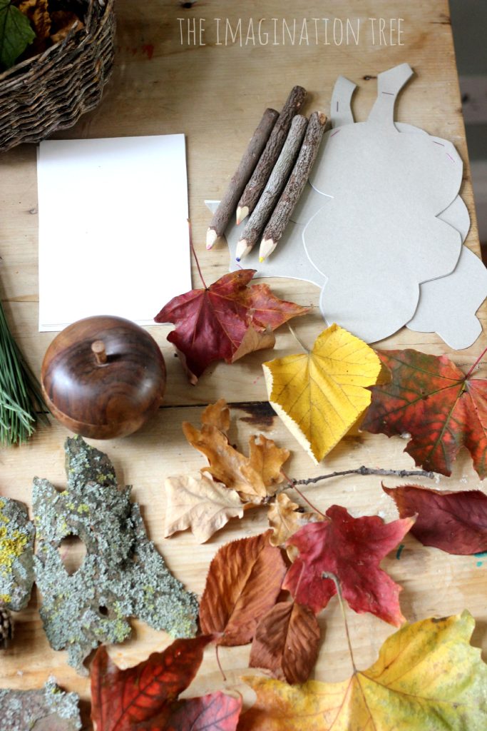 Autumn Nature Exploration Table | Autumn nature, Imagination tree