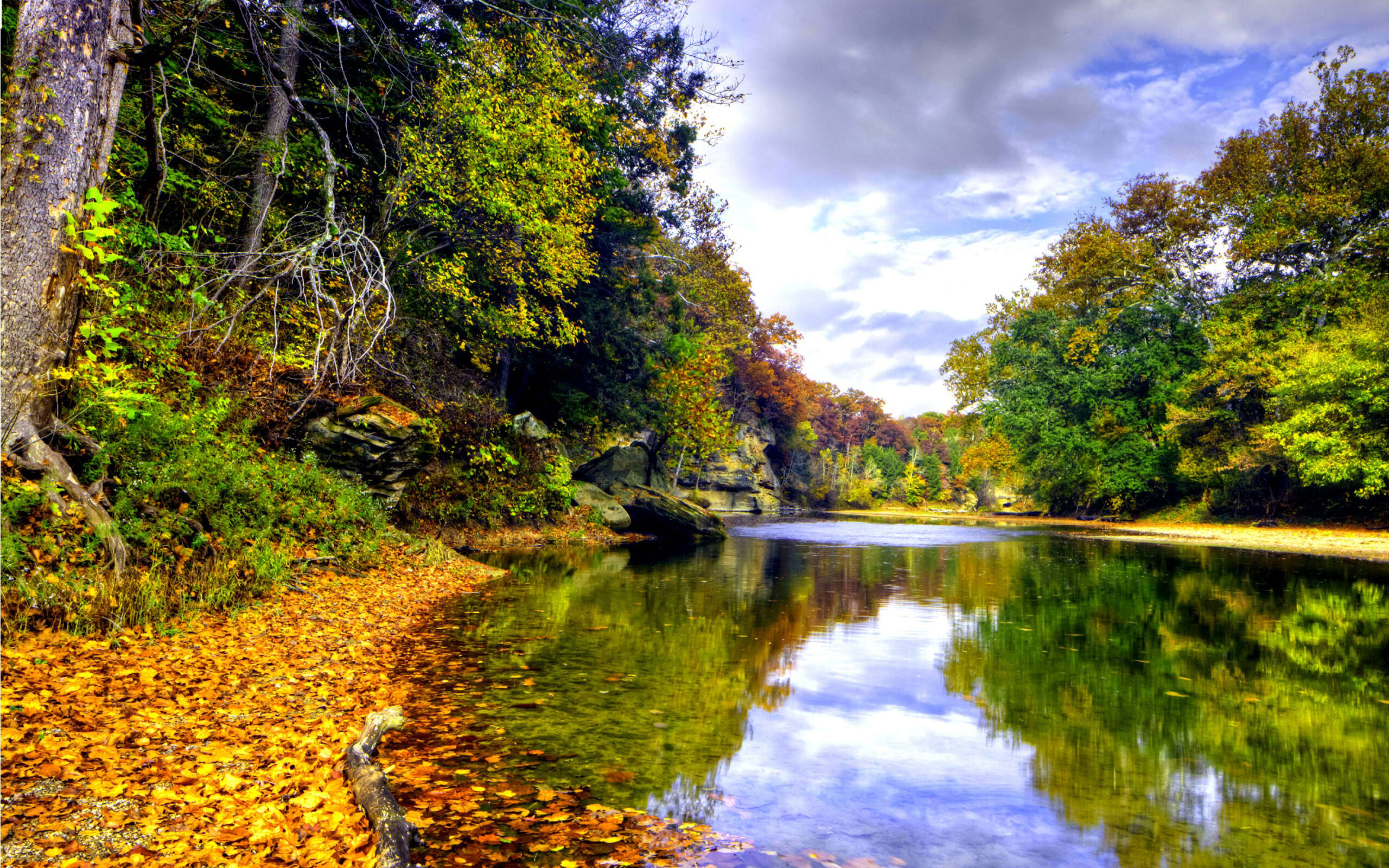 Landscape autumn-mountain river mirna-deciduous forest in autumn colors