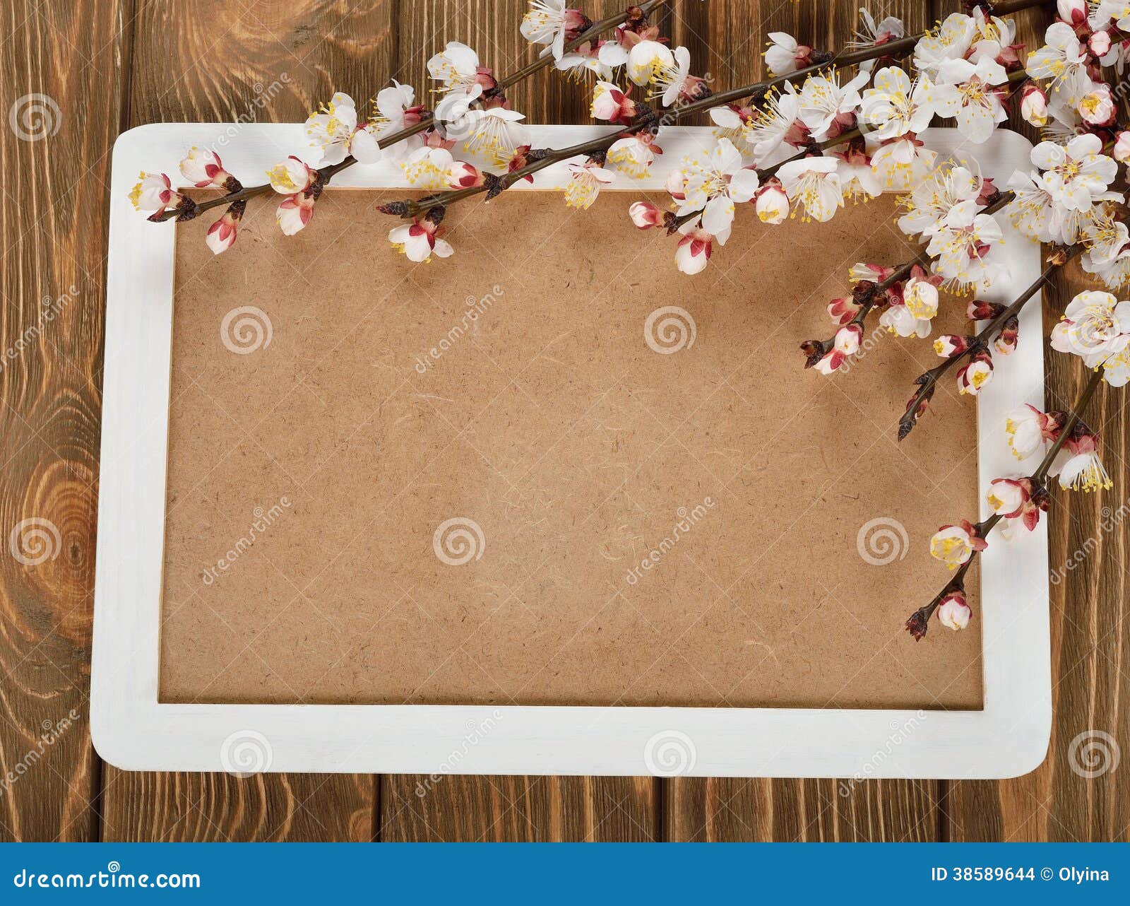 Blossoming branches stock photo. Image of natural, background - 38589644