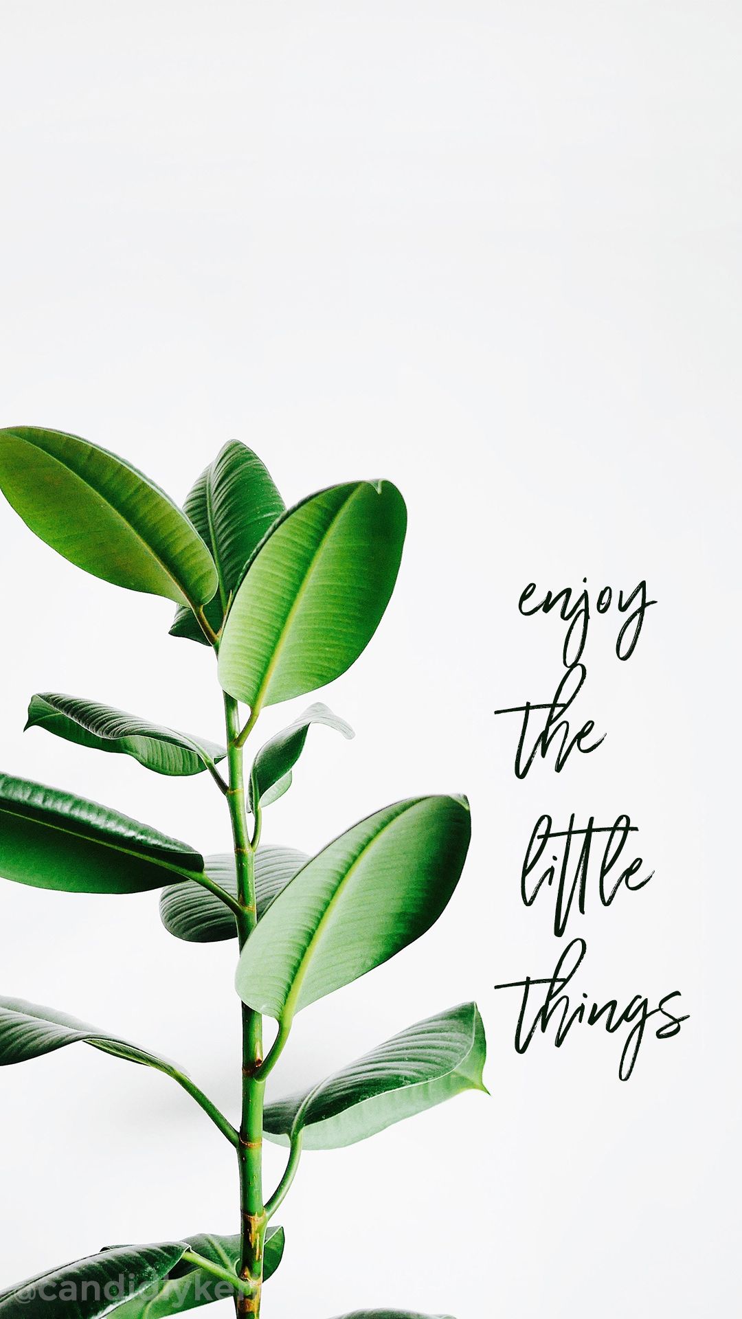 Enjoy the little things, greenry green leaves quote inspirational