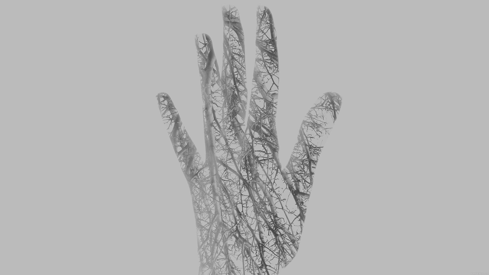 hands, Fingers, Digital art, Double exposure, Trees, Branch, Simple