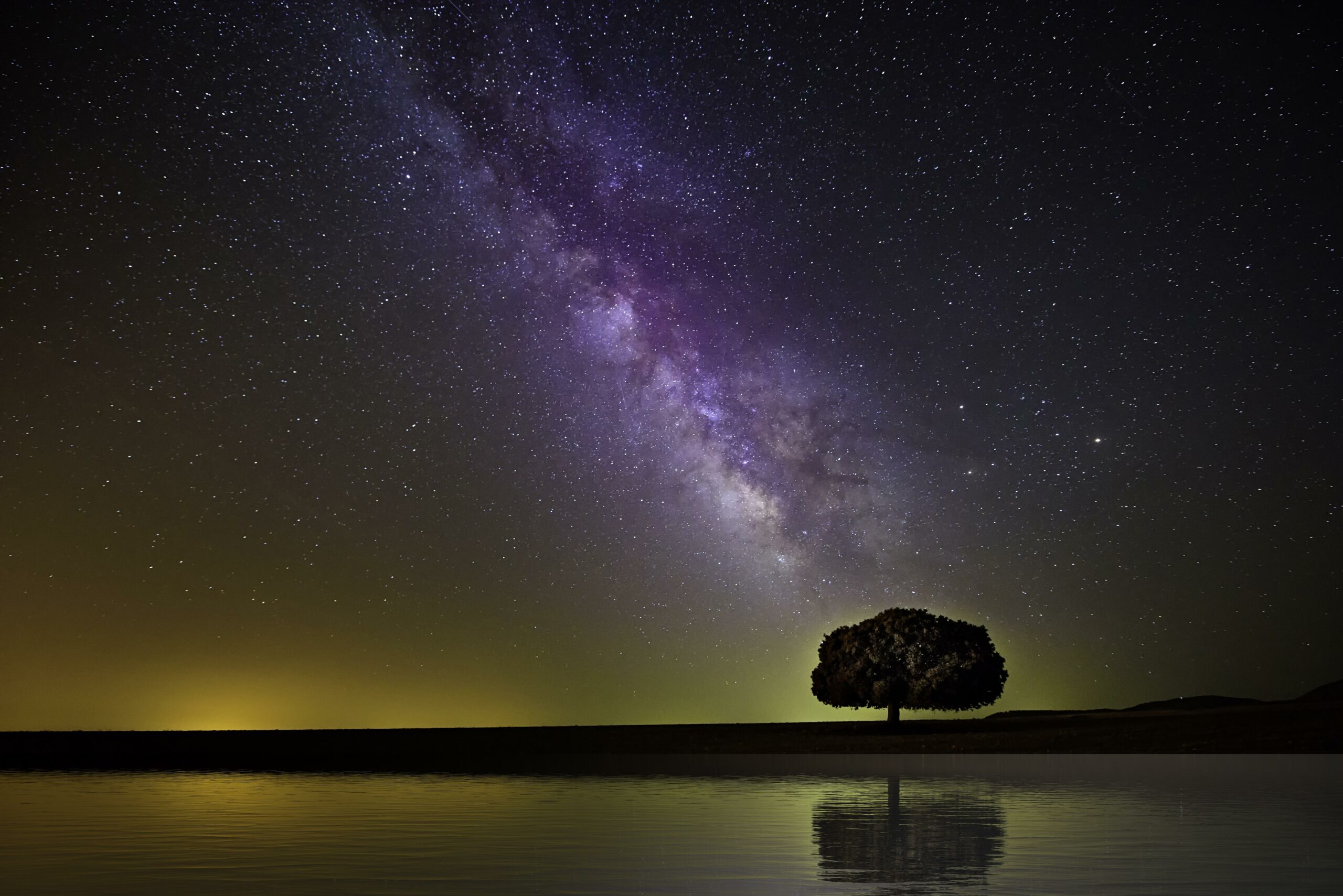 wallpaper starry sky, milky way, tree, horizon, coast, night HD