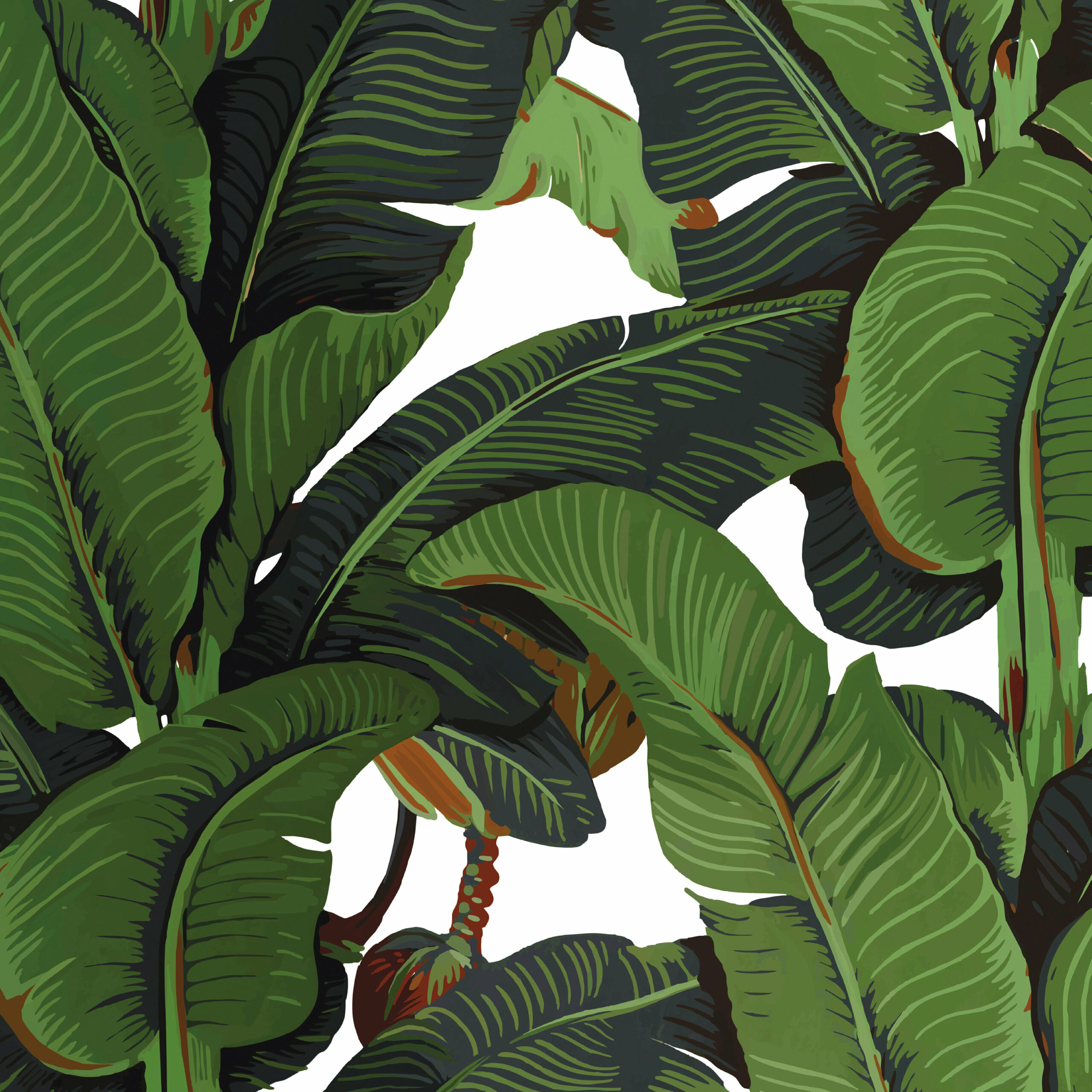 Banana Leaf Print Tropical Wallpaper