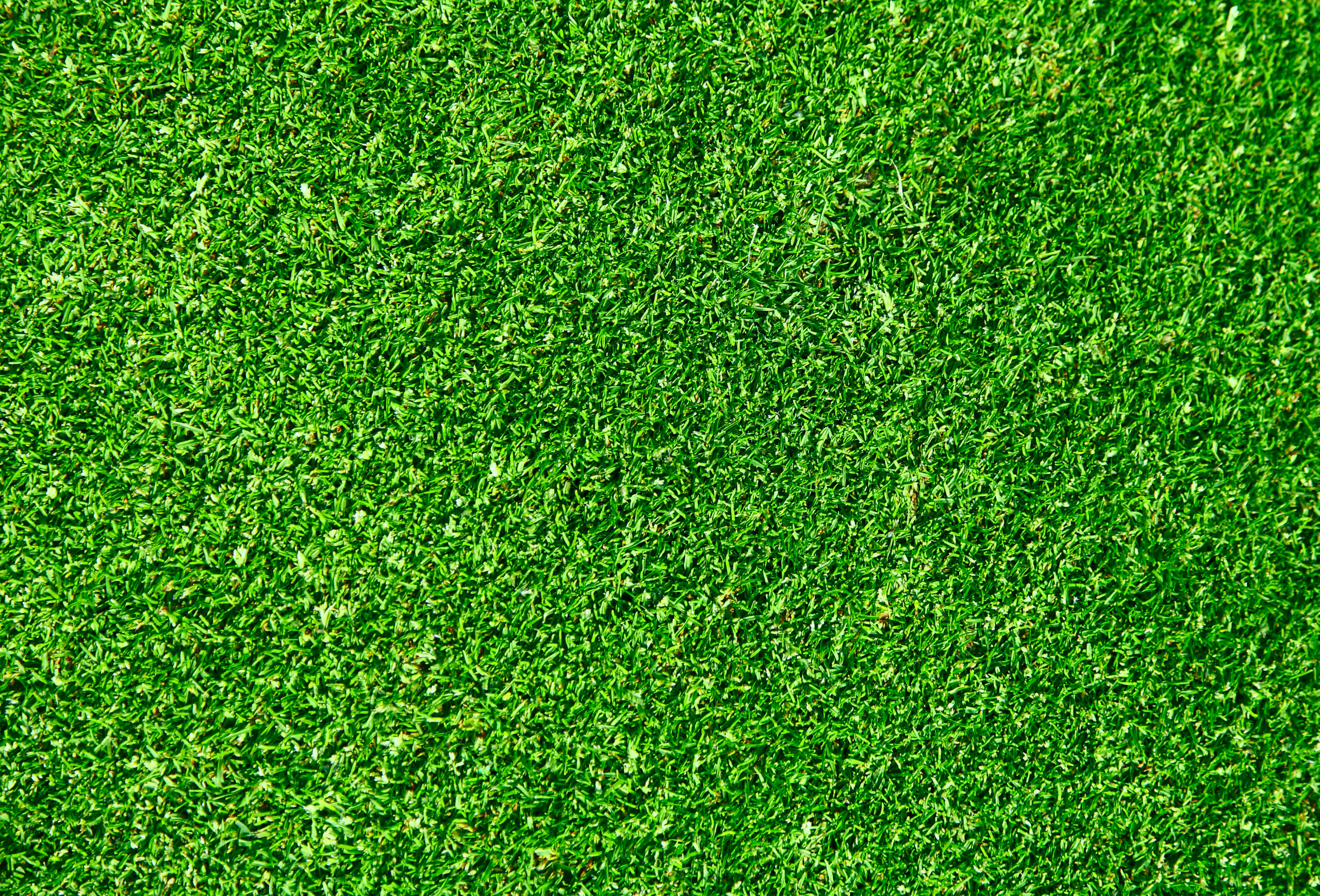grass textured wallpaper 2017 - Grasscloth Wallpaper