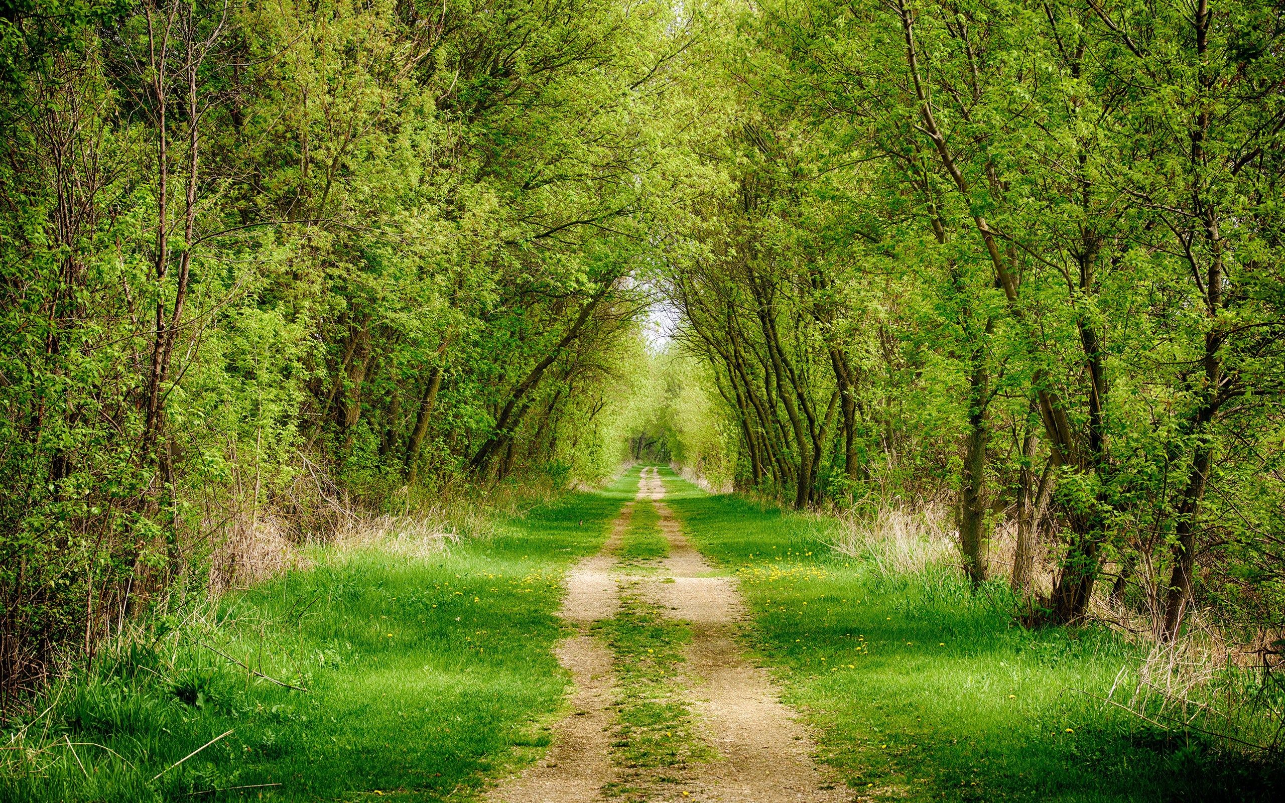 path : Wallpaper Collection 2560x1600 | Paths, The good place, Country