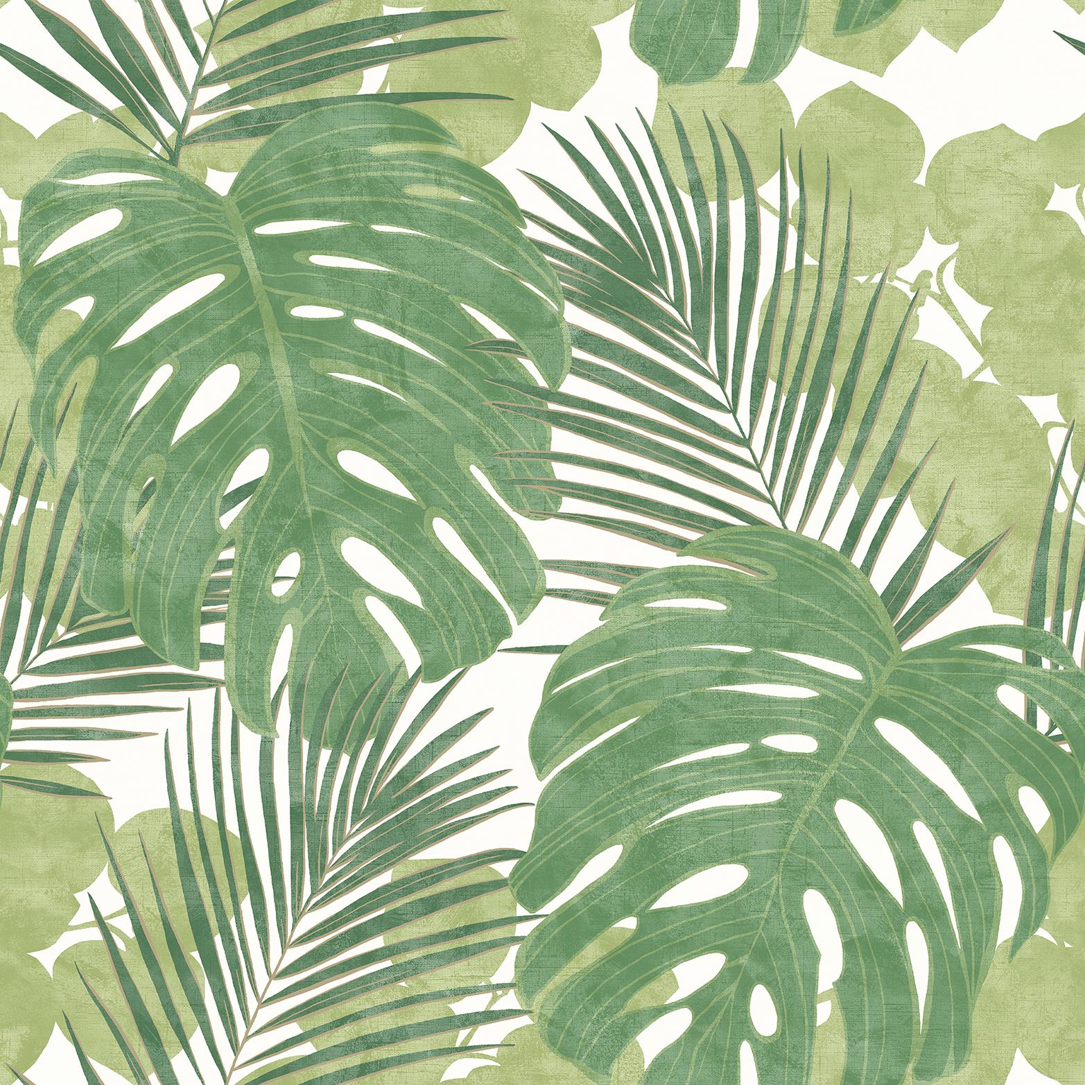 Jungle Large Leaf Wallpaper Palm Botanical Floral Tropical Green White
