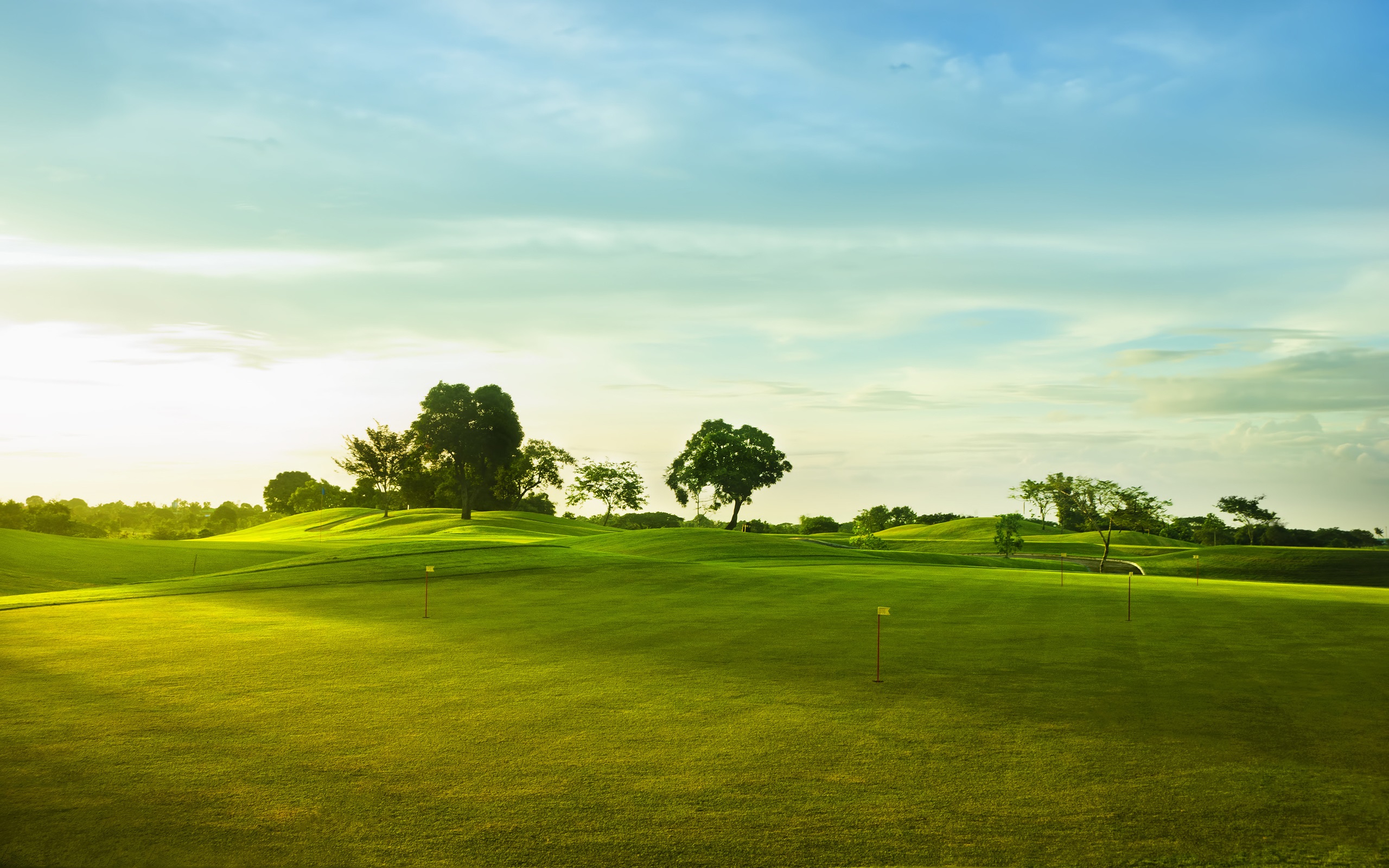 Golf course, green grass, trees wallpaper | nature and landscape