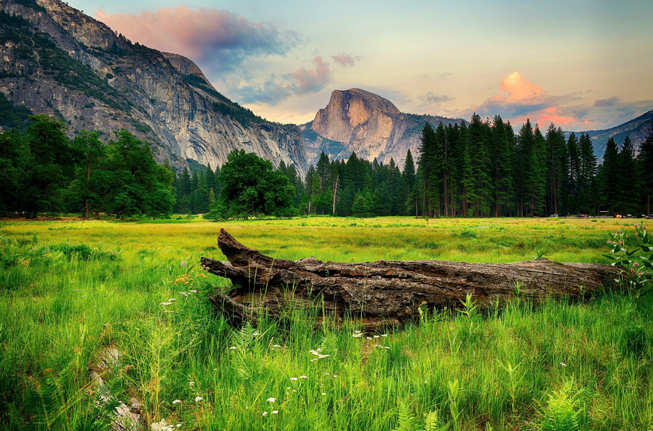 usa, Parks, Mountains, Forests, Scenery, Yosemite, Grass, Nature