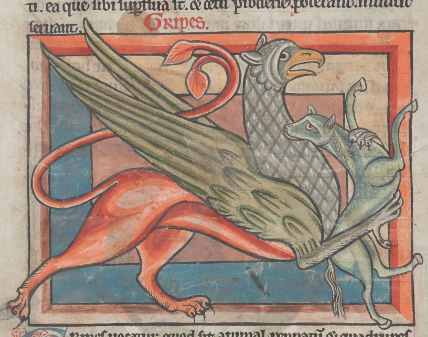 Medieval Bestiary : Beasts : Griffin