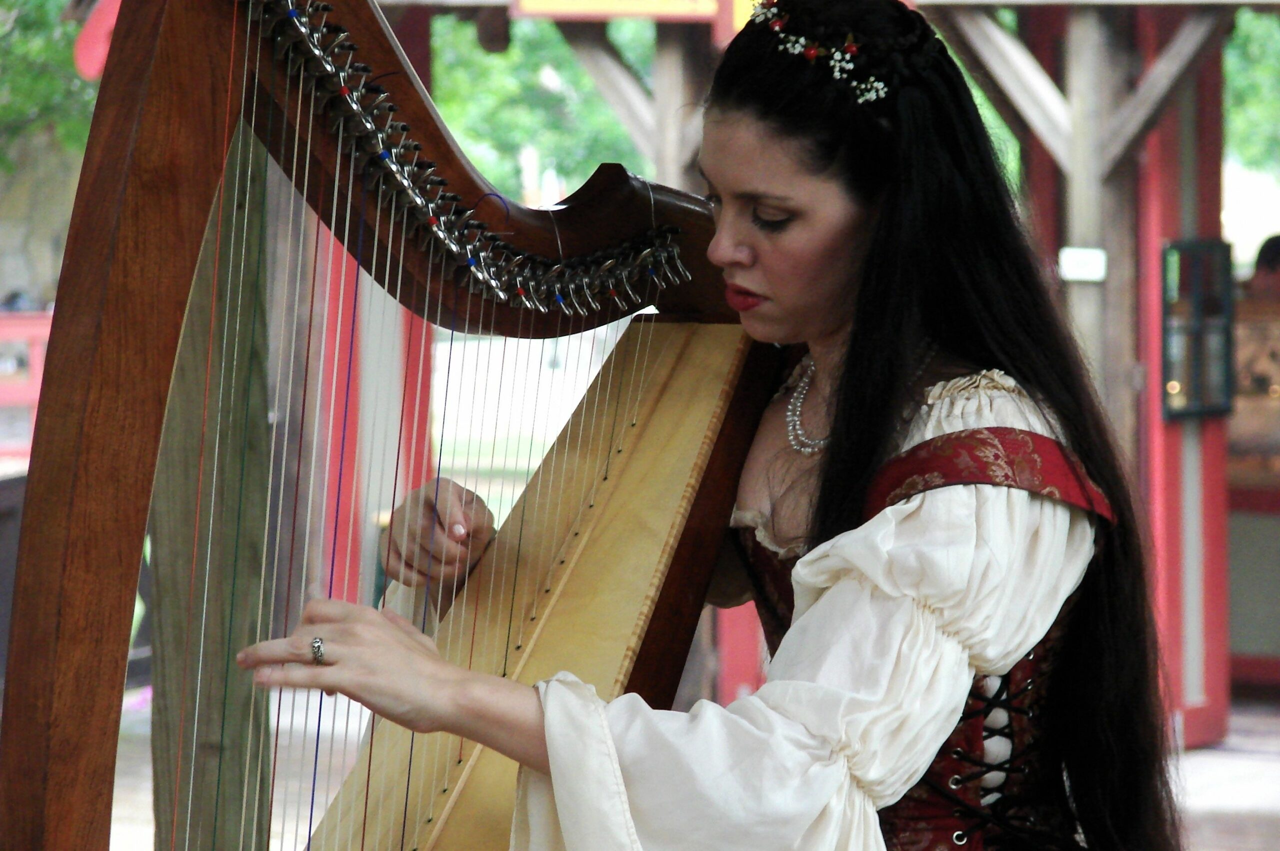 Harpist Medieval World, Medieval Fantasy, Fantasy Inspiration